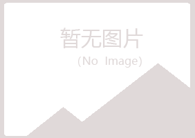 陕西夏岚造纸有限公司